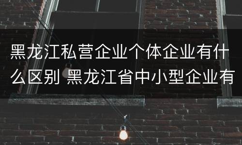 黑龙江私营企业个体企业有什么区别 黑龙江省中小型企业有哪些
