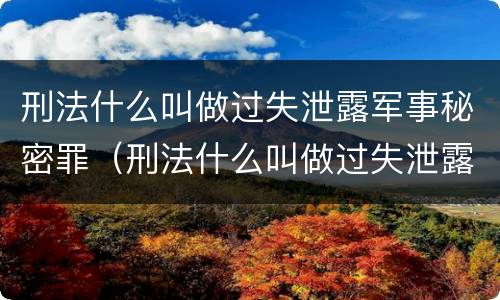 刑法什么叫做过失泄露军事秘密罪（刑法什么叫做过失泄露军事秘密罪行为）