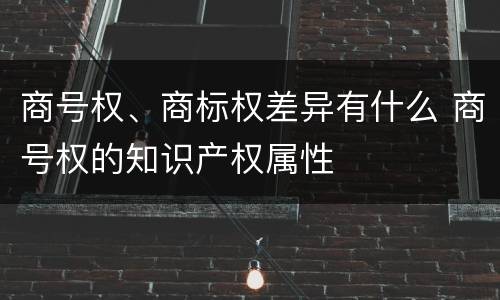 商号权、商标权差异有什么 商号权的知识产权属性