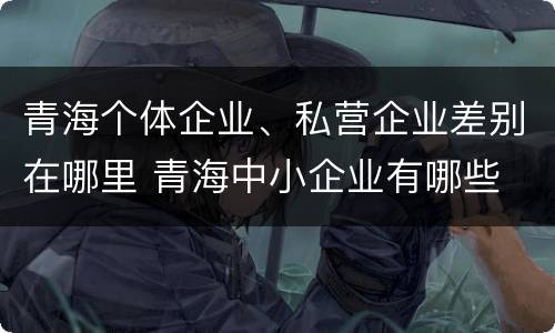 青海个体企业、私营企业差别在哪里 青海中小企业有哪些