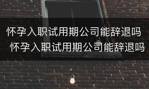怀孕入职试用期公司能辞退吗 怀孕入职试用期公司能辞退吗