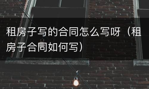 租房子写的合同怎么写呀（租房子合同如何写）