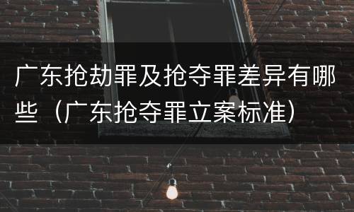 广东抢劫罪及抢夺罪差异有哪些（广东抢夺罪立案标准）
