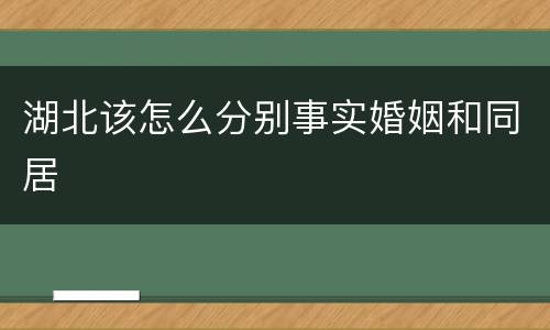 湖北该怎么分别事实婚姻和同居