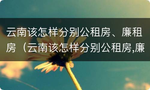 云南该怎样分别公租房、廉租房（云南该怎样分别公租房,廉租房和私租房）