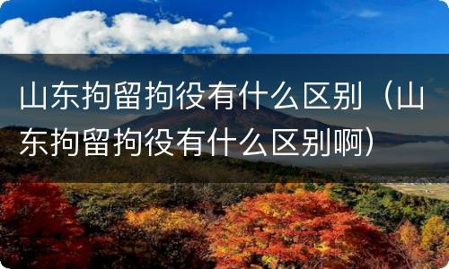 山东拘留拘役有什么区别（山东拘留拘役有什么区别啊）