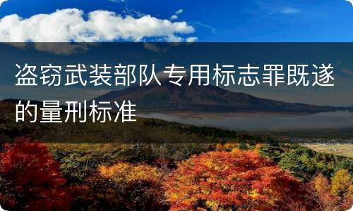盗窃武装部队专用标志罪既遂的量刑标准