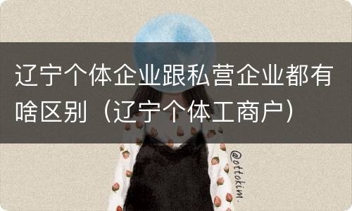 辽宁个体企业跟私营企业都有啥区别（辽宁个体工商户）