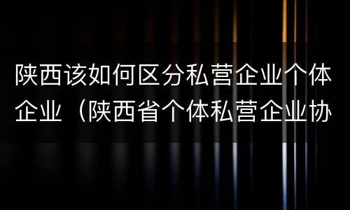 陕西该如何区分私营企业个体企业（陕西省个体私营企业协会）