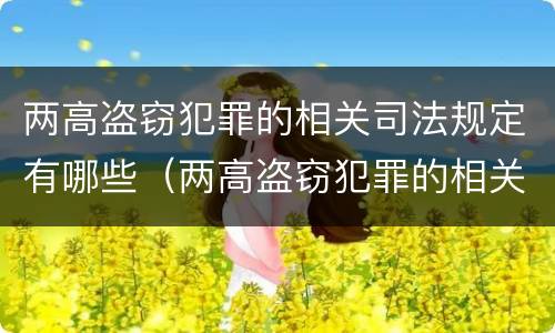 两高盗窃犯罪的相关司法规定有哪些（两高盗窃犯罪的相关司法规定有哪些法律）
