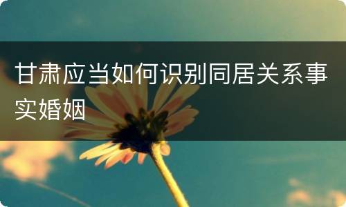 甘肃应当如何识别同居关系事实婚姻