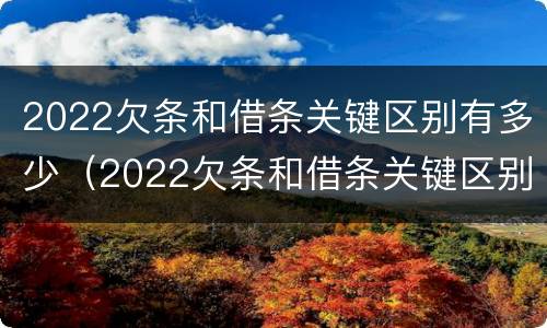 2022欠条和借条关键区别有多少（2022欠条和借条关键区别有多少个）