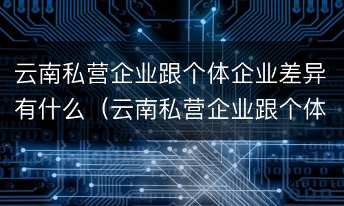 云南私营企业跟个体企业差异有什么（云南私营企业跟个体企业差异有什么特点）