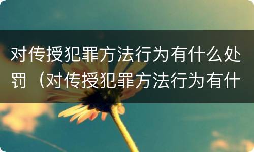 对传授犯罪方法行为有什么处罚（对传授犯罪方法行为有什么处罚规定）