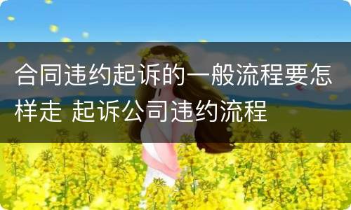 合同违约起诉的一般流程要怎样走 起诉公司违约流程