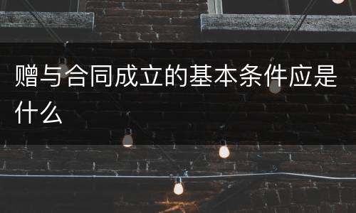 赠与合同成立的基本条件应是什么