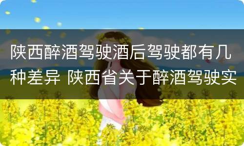 陕西醉酒驾驶酒后驾驶都有几种差异 陕西省关于醉酒驾驶实施细则