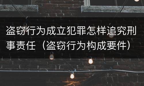 盗窃行为成立犯罪怎样追究刑事责任（盗窃行为构成要件）