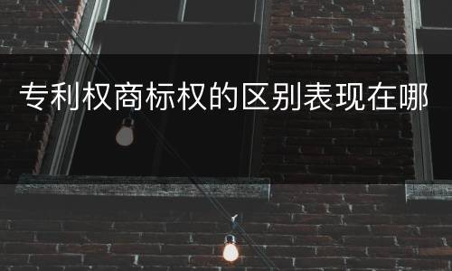专利权商标权的区别表现在哪