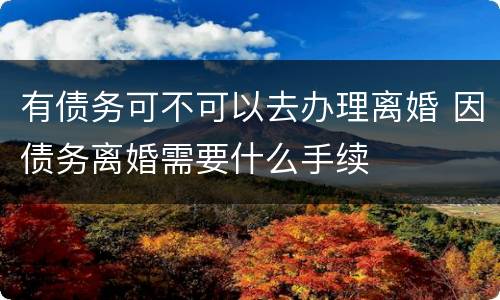 有债务可不可以去办理离婚 因债务离婚需要什么手续