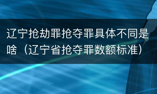 辽宁抢劫罪抢夺罪具体不同是啥（辽宁省抢夺罪数额标准）