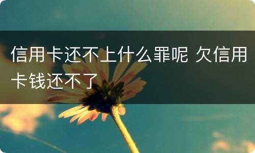 信用卡还不上什么罪呢 欠信用卡钱还不了