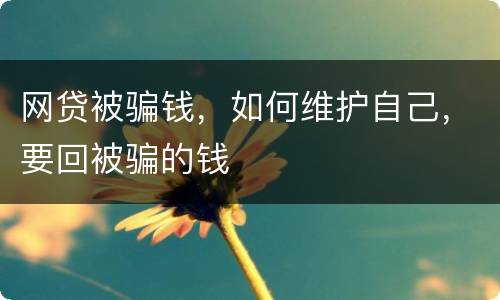 网贷被骗钱，如何维护自己，要回被骗的钱
