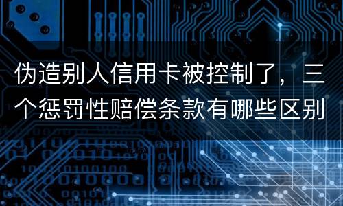 伪造别人信用卡被控制了，三个惩罚性赔偿条款有哪些区别呢