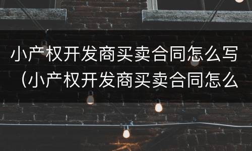 小产权开发商买卖合同怎么写（小产权开发商买卖合同怎么写范本）