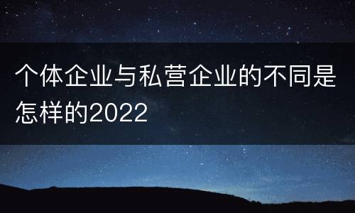 个体企业与私营企业的不同是怎样的2022