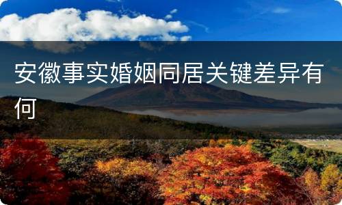 安徽事实婚姻同居关键差异有何