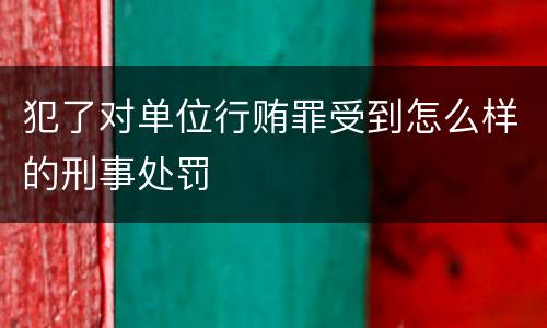 犯了对单位行贿罪受到怎么样的刑事处罚