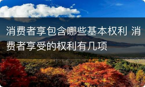 消费者享包含哪些基本权利 消费者享受的权利有几项