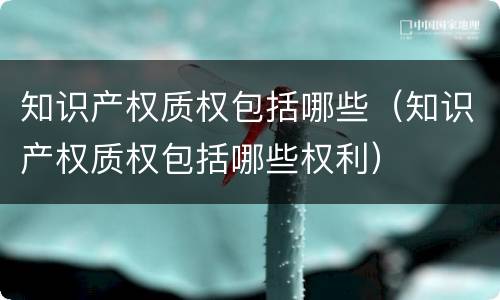 知识产权质权包括哪些（知识产权质权包括哪些权利）