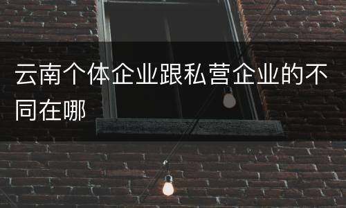 云南个体企业跟私营企业的不同在哪