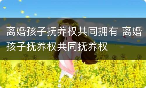 离婚孩子抚养权共同拥有 离婚孩子抚养权共同抚养权
