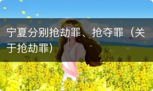 宁夏分别抢劫罪、抢夺罪（关于抢劫罪）