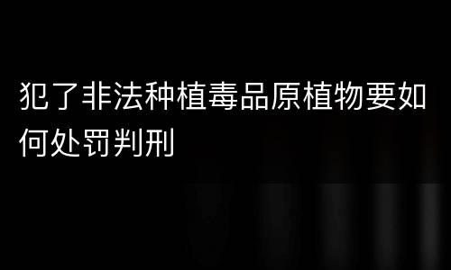 犯了非法种植毒品原植物要如何处罚判刑