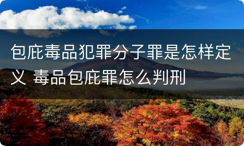 包庇毒品犯罪分子罪是怎样定义 毒品包庇罪怎么判刑