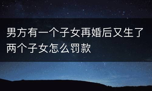 男方有一个子女再婚后又生了两个子女怎么罚款