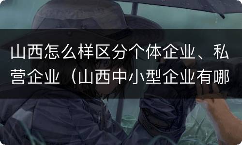 山西怎么样区分个体企业、私营企业（山西中小型企业有哪些）