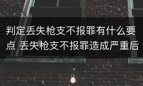 判定丢失枪支不报罪有什么要点 丢失枪支不报罪造成严重后果
