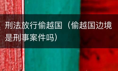 刑法放行偷越国（偷越国边境是刑事案件吗）