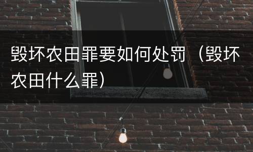 毁坏农田罪要如何处罚（毁坏农田什么罪）