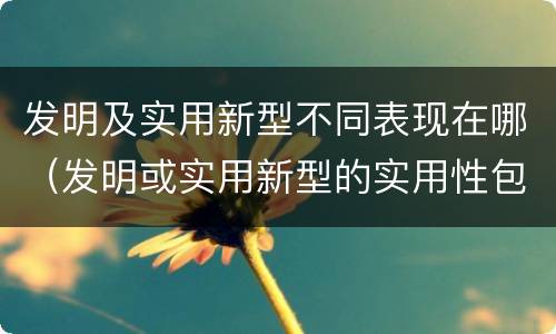 发明及实用新型不同表现在哪（发明或实用新型的实用性包括( ）