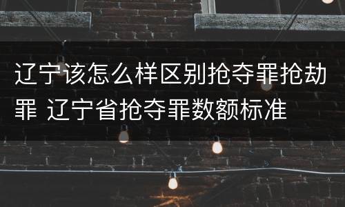 辽宁该怎么样区别抢夺罪抢劫罪 辽宁省抢夺罪数额标准