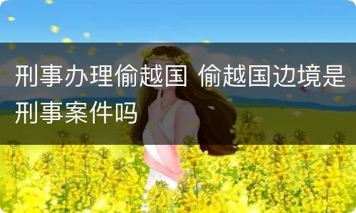 刑事办理偷越国 偷越国边境是刑事案件吗