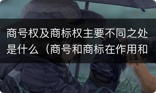 商号权及商标权主要不同之处是什么（商号和商标在作用和性质上有较大区别）