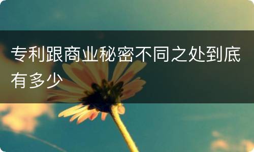 专利跟商业秘密不同之处到底有多少