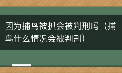 因为捕鸟被抓会被判刑吗（捕鸟什么情况会被判刑）